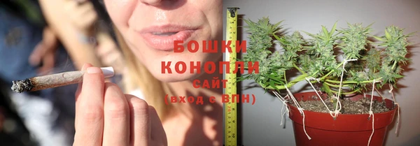 прущие грибы Нефтегорск
