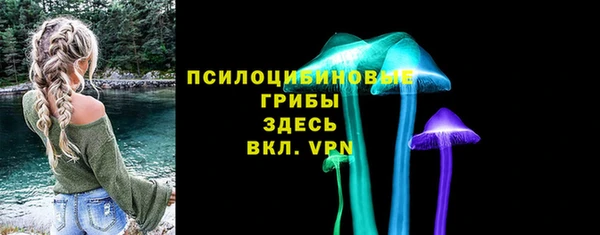 прущие грибы Нефтегорск