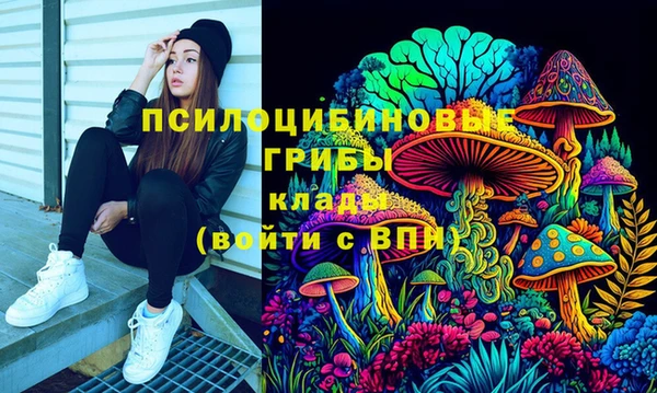 прущие грибы Нефтегорск