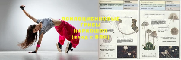 стафф Нефтекумск