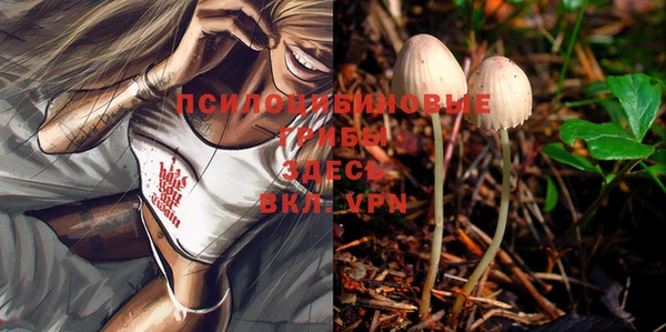 стафф Нефтекумск