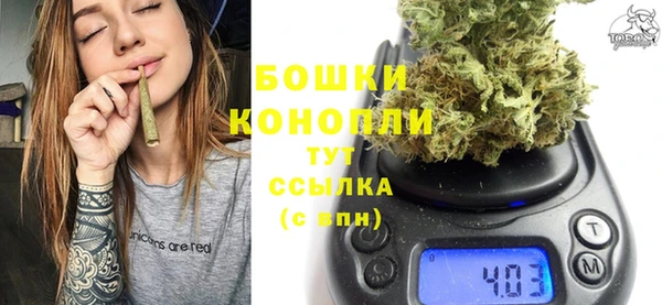 прущие грибы Нефтегорск