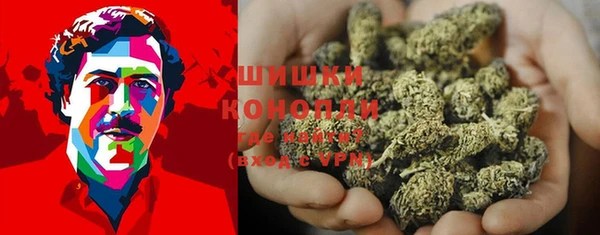 твердый Новозыбков