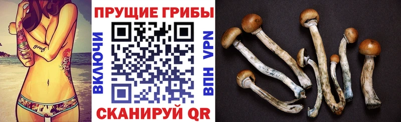 Псилоцибиновые грибы Psilocybine cubensis  хочу наркоту  Ярцево 
