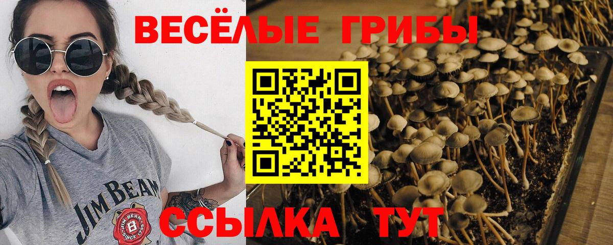 МАРИХУАНА  Кодеин  Мяу-Мяу  Вход с VPN  Ярцево  Кокаин  Бошки Шишки  Гашик  A PVP  Гарик 